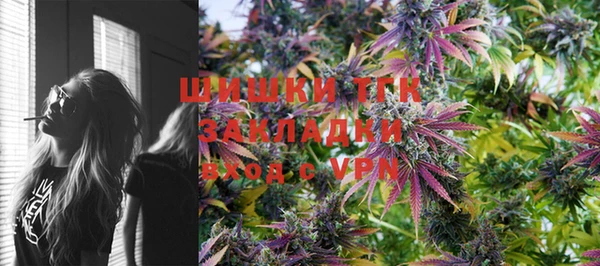 гашик Карталы