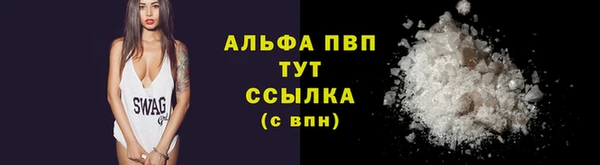 ешки Карпинск