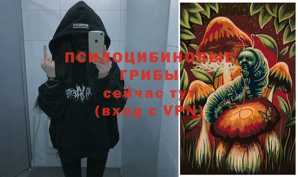 ешки Карпинск