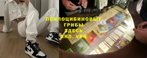 гашик Карталы