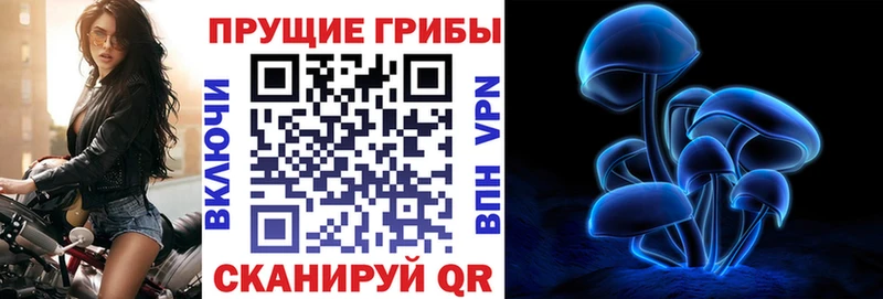 Купить Южно-Сухокумск Псилоцибиновые грибы GOLDEN TEACHER